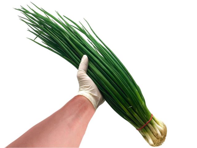 Зеленый лук: польза и вред для здоровья.