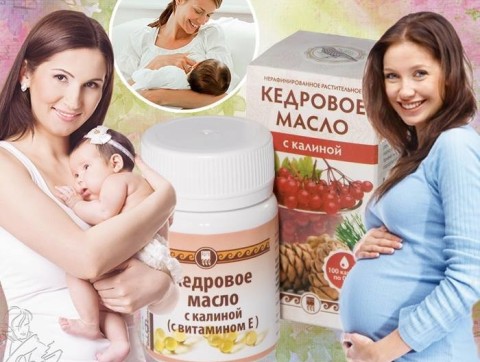 Как принимать кедровое масло при беременности