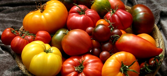 разные сорта томатов