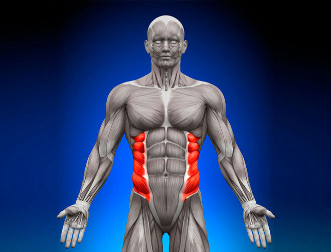 Упражнения для укрепления мышечного корсета спины