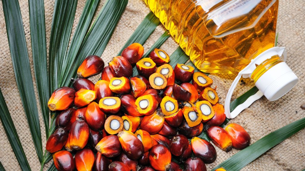 пальмовое масло