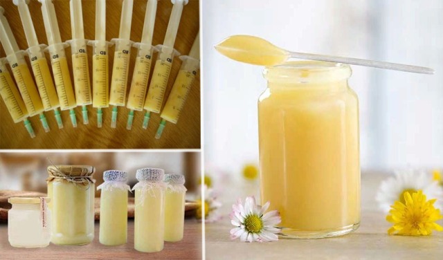 Пчелиное маточное молочко: польза и вред как принимать